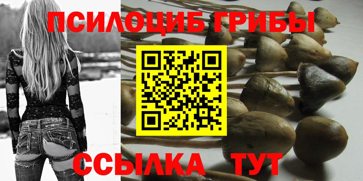Галлюциногенные грибы Cubensis Ессентуки