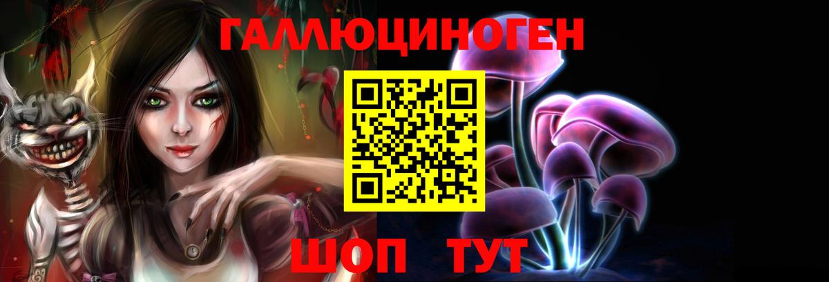 Ессентуки  Галлюциногенные грибы Psilocybine cubensis  Галлюциногенные грибы мицелий  где продают   Вход с VPN 
